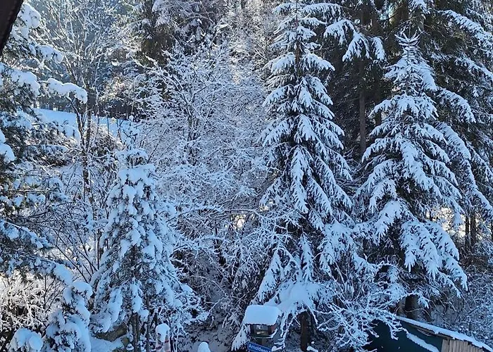 Casa de Férias Haus Alexander